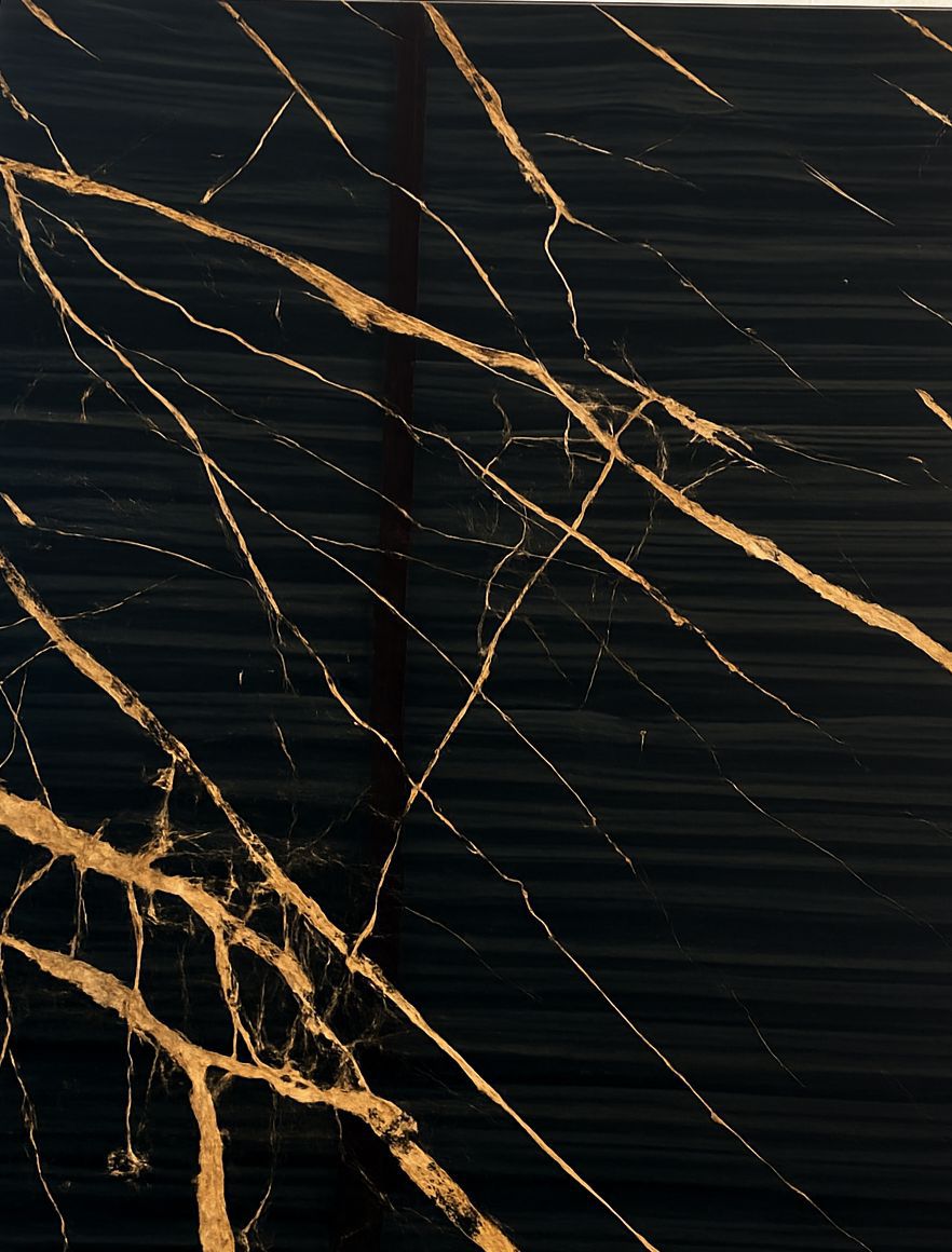 PVC Wandpanelen 280x122x3mm - Zwart/Goud
